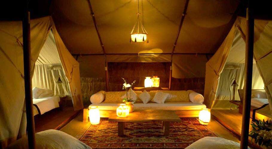 Guler Heritage Nature Camp, Kangra 4